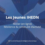 visioconférence retex ihedn