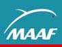 logo maaf.jpg